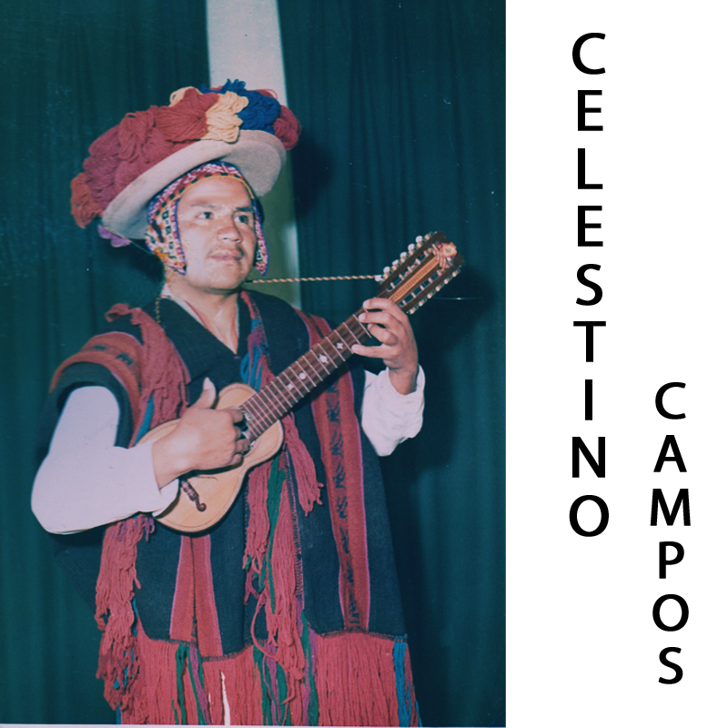 Notas Musicales en Charango 